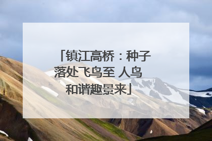 镇江高桥：种子落处飞鸟至 人鸟和谐趣景来