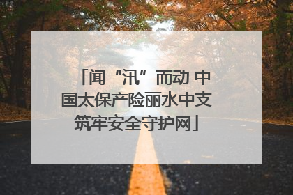 闻“汛”而动 中国太保产险丽水中支筑牢安全守护网
