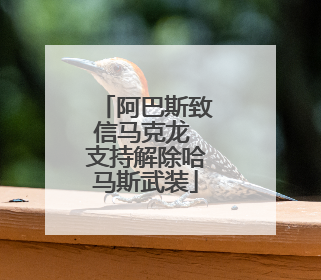 阿巴斯致信马克龙 支持解除哈马斯武装