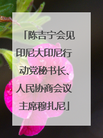 陈吉宁会见印尼大印尼行动党秘书长、人民协商会议主席穆扎尼
