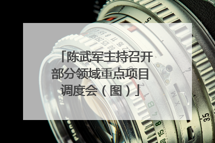 陈武军主持召开部分领域重点项目调度会（图）