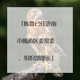 陈鲁已任济南市槐荫区委常委、组织部部长