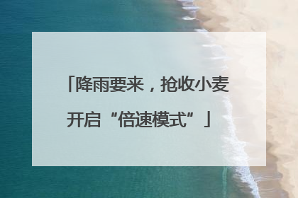 降雨要来，抢收小麦开启“倍速模式”