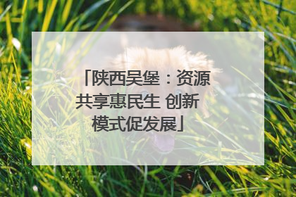 陕西吴堡：资源共享惠民生 创新模式促发展