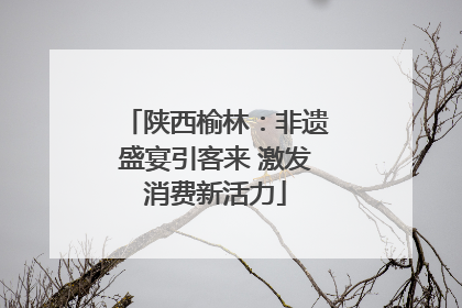 陕西榆林：非遗盛宴引客来 激发消费新活力