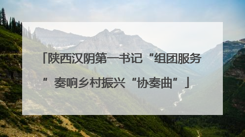 陕西汉阴第一书记“组团服务”奏响乡村振兴“协奏曲”