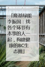隆基绿能李振国：找各个环节有本事的人一起，构建健康的BC生态圈