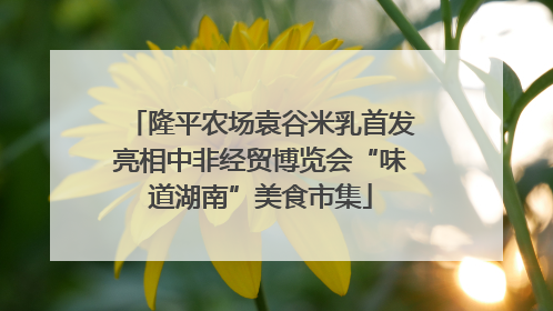 隆平农场袁谷米乳首发亮相中非经贸博览会“味道湖南”美食市集