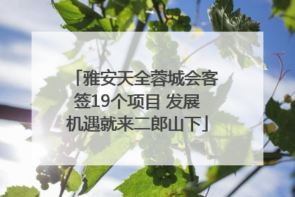 雅安天全蓉城会客签19个项目 发展机遇就来二郎山下