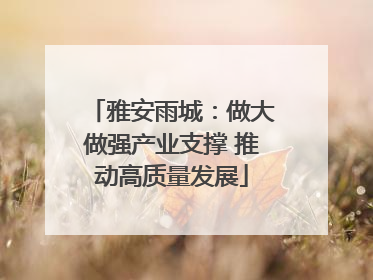 雅安雨城：做大做强产业支撑 推动高质量发展