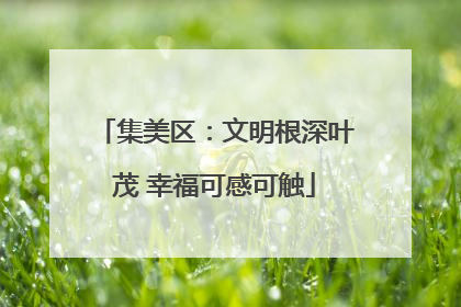 集美区：文明根深叶茂 幸福可感可触