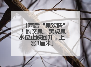雨后“泉欢腾”！趵突泉、黑虎泉水位止跌回升，上涨3厘米