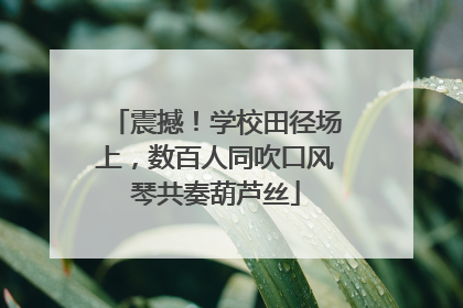 震撼！学校田径场上，数百人同吹口风琴共奏葫芦丝