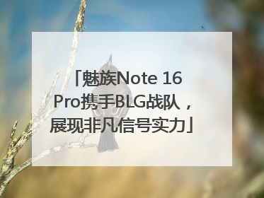 魅族Note 16 Pro携手BLG战队，展现非凡信号实力