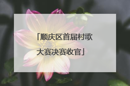 顺庆区首届村歌大赛决赛收官