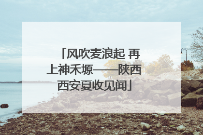风吹麦浪起 再上神禾塬——陕西西安夏收见闻