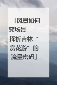风景如何变场景——探析吉林“赏花游”的流量密码