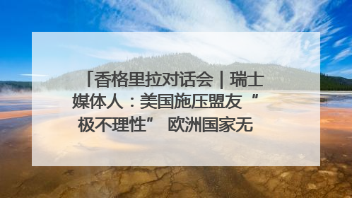 香格里拉对话会｜瑞士媒体人：美国施压盟友“极不理性” 欧洲国家无意与中国“脱钩断链”