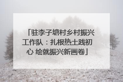 驻李子塘村乡村振兴工作队：扎根热土践初心 绘就振兴新画卷