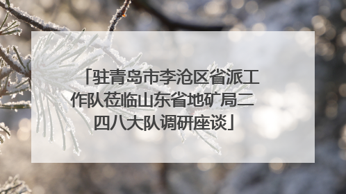 驻青岛市李沧区省派工作队莅临山东省地矿局二四八大队调研座谈