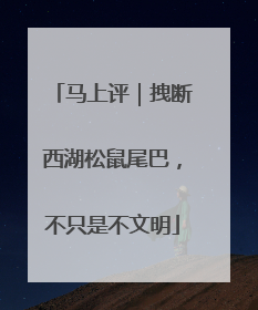 马上评｜拽断西湖松鼠尾巴，不只是不文明