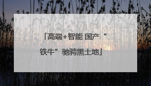 高端+智能 国产“铁牛”驰骋黑土地