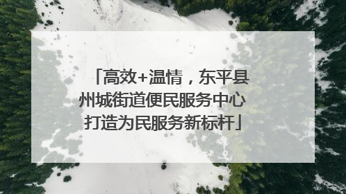 高效+温情，东平县州城街道便民服务中心打造为民服务新标杆