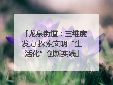 龙泉街道：三维度发力 探索文明“生活化”创新实践