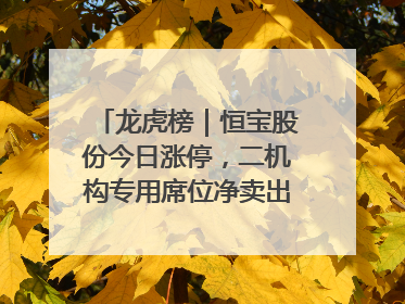 龙虎榜｜恒宝股份今日涨停，二机构专用席位净卖出1.13亿元