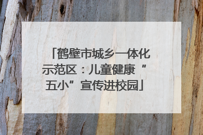 鹤壁市城乡一体化示范区：儿童健康“五小”宣传进校园