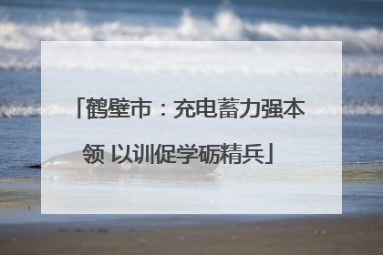 鹤壁市：充电蓄力强本领 以训促学砺精兵