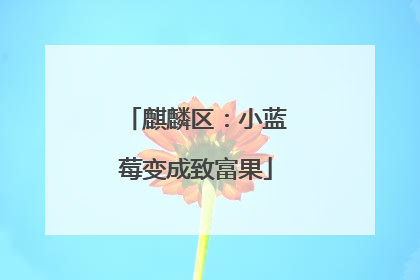 麒麟区：小蓝莓变成致富果