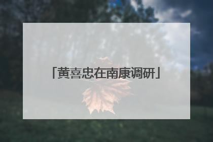 黄喜忠在南康调研