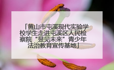 黄山市屯溪现代实验学校学生走进屯溪区人民检察院“昱见未来”青少年法治教育宣传基地
