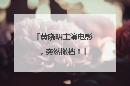 黄晓明主演电影，突然撤档！