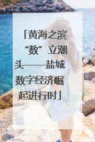 黄海之滨“数”立潮头——盐城数字经济崛起进行时