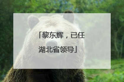 黎东辉，已任湖北省领导