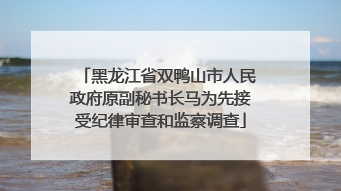 黑龙江省双鸭山市人民政府原副秘书长马为先接受纪律审查和监察调查