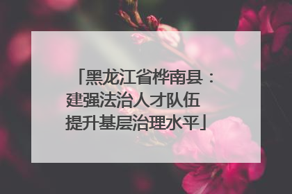 黑龙江省桦南县：建强法治人才队伍 提升基层治理水平