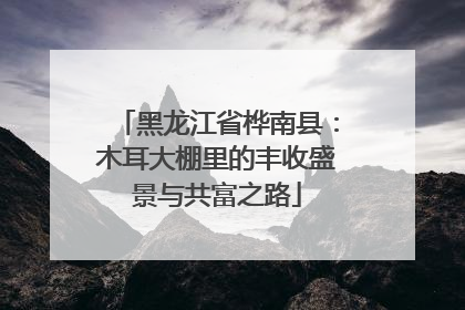 黑龙江省桦南县：木耳大棚里的丰收盛景与共富之路