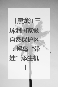 黑龙江三环泡国家级自然保护区：候鸟“带娃”添生机