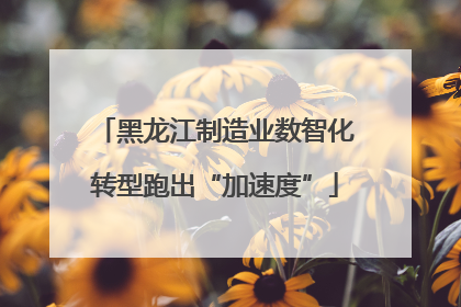 黑龙江制造业数智化转型跑出“加速度”