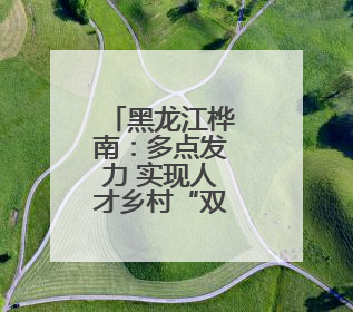 黑龙江桦南：多点发力 实现人才乡村“双向奔赴”