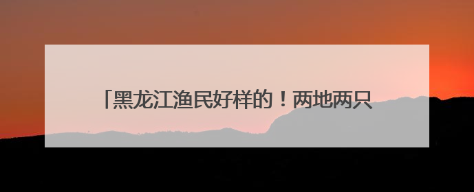 黑龙江渔民好样的！两地两只“投网”达氏鳇被放归大江