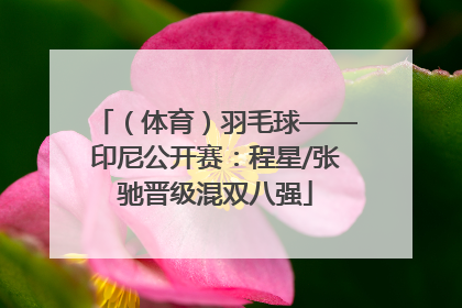（体育）羽毛球——印尼公开赛：程星/张驰晋级混双八强