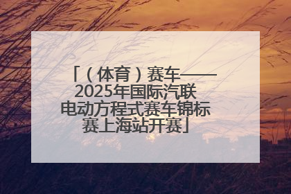 （体育）赛车——2025年国际汽联电动方程式赛车锦标赛上海站开赛