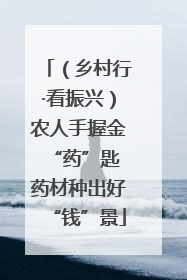 （乡村行·看振兴）农人手握金“药”匙 药材种出好“钱”景