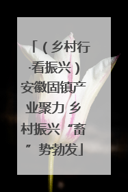 （乡村行·看振兴）安徽固镇产业聚力 乡村振兴“畜”势勃发