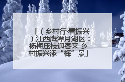 （乡村行·看振兴）江西鹰潭月湖区：杨梅压枝迎客来 乡村振兴添“梅”景
