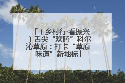 （乡村行·看振兴）舌尖“欢腾”科尔沁草原：打卡“草原味道”新地标